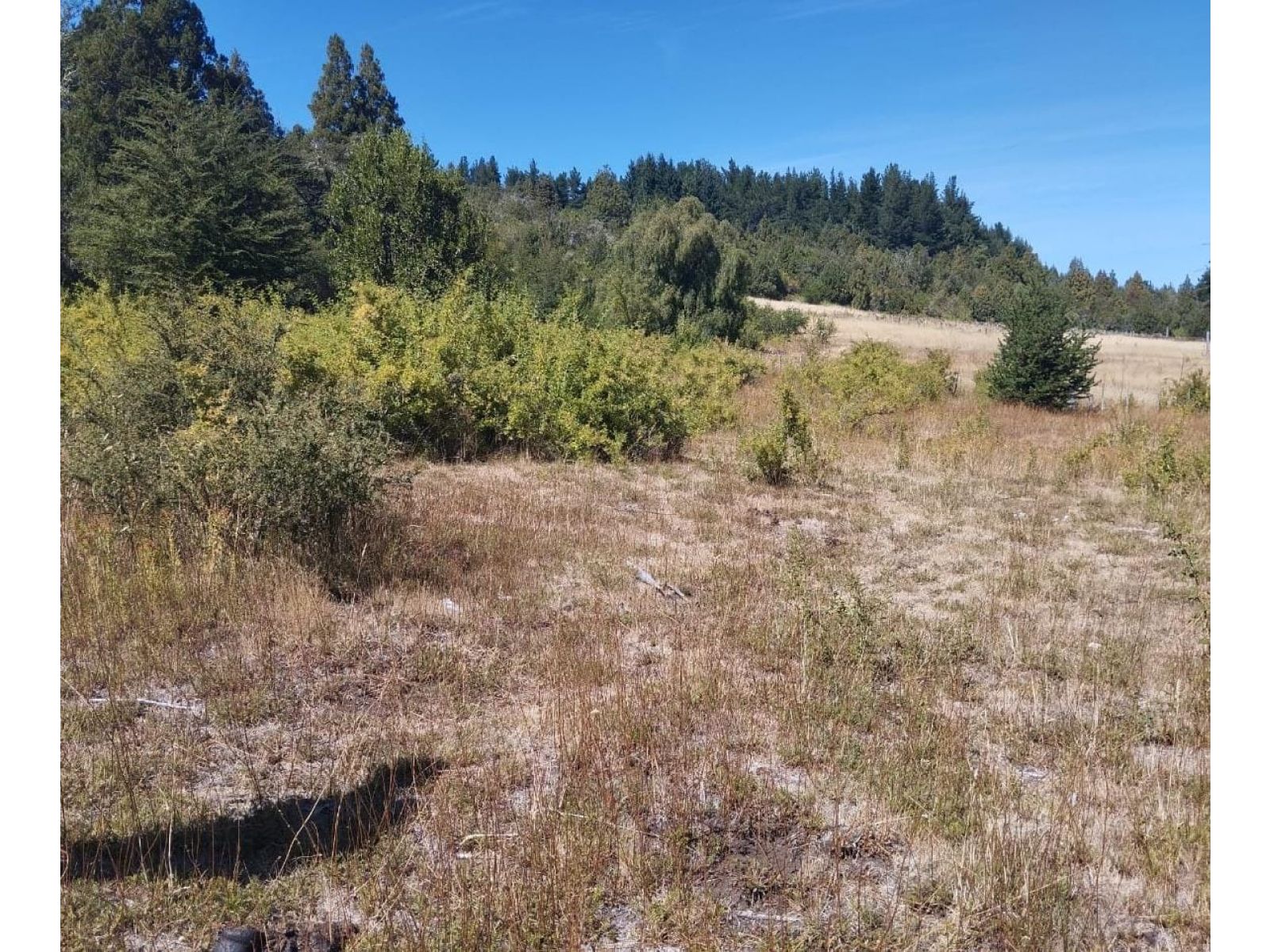 (035) EL BOLSON (Mallin Ahogado) Terrenos en condominio de 1.950mts2 - 14