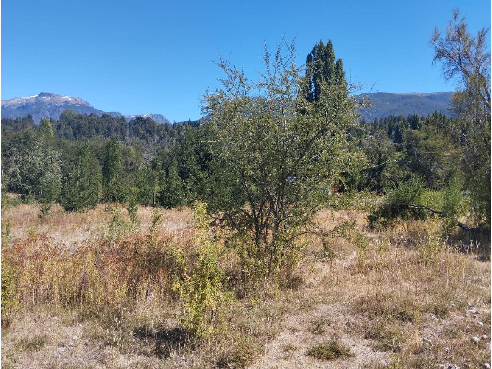 (035) EL BOLSON (Mallin Ahogado) Terrenos en condominio de 1.950mts2 - 13