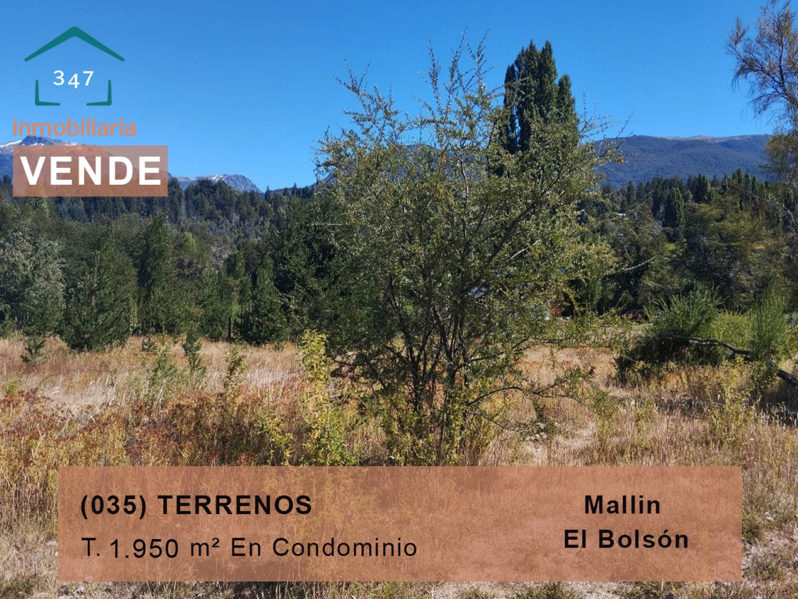 (035) EL BOLSON (Mallin Ahogado) Terrenos en condominio de 1.950mts2 - 1