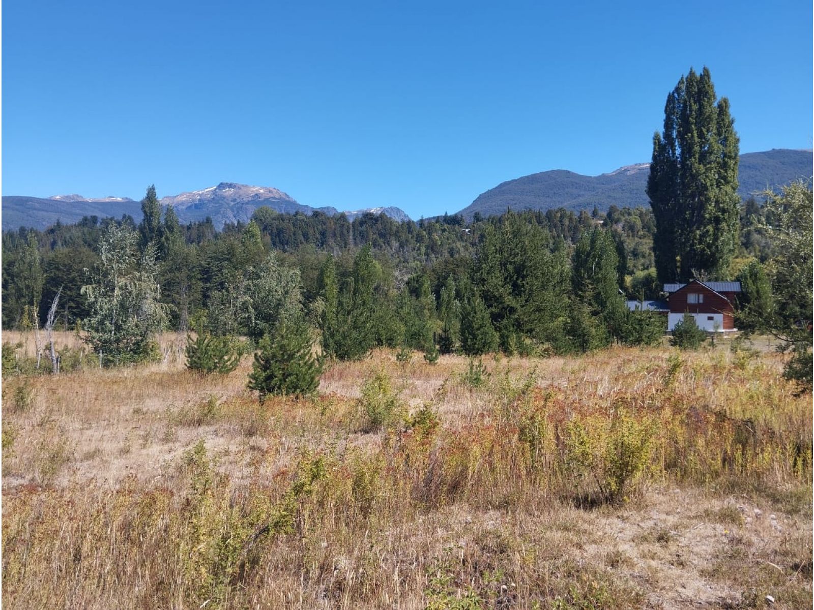 (035) EL BOLSON (Mallin Ahogado) Terrenos en condominio de 1.950mts2 - 7