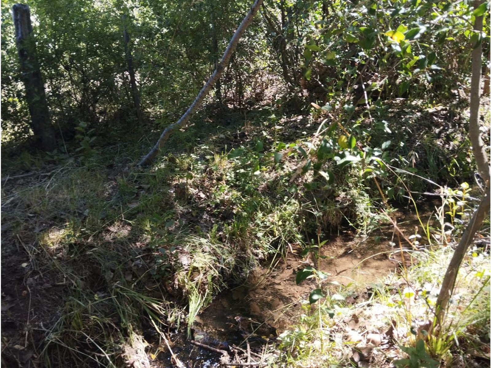 (035) EL BOLSON (Mallin Ahogado) Terrenos en condominio de 1.950mts2 - 4