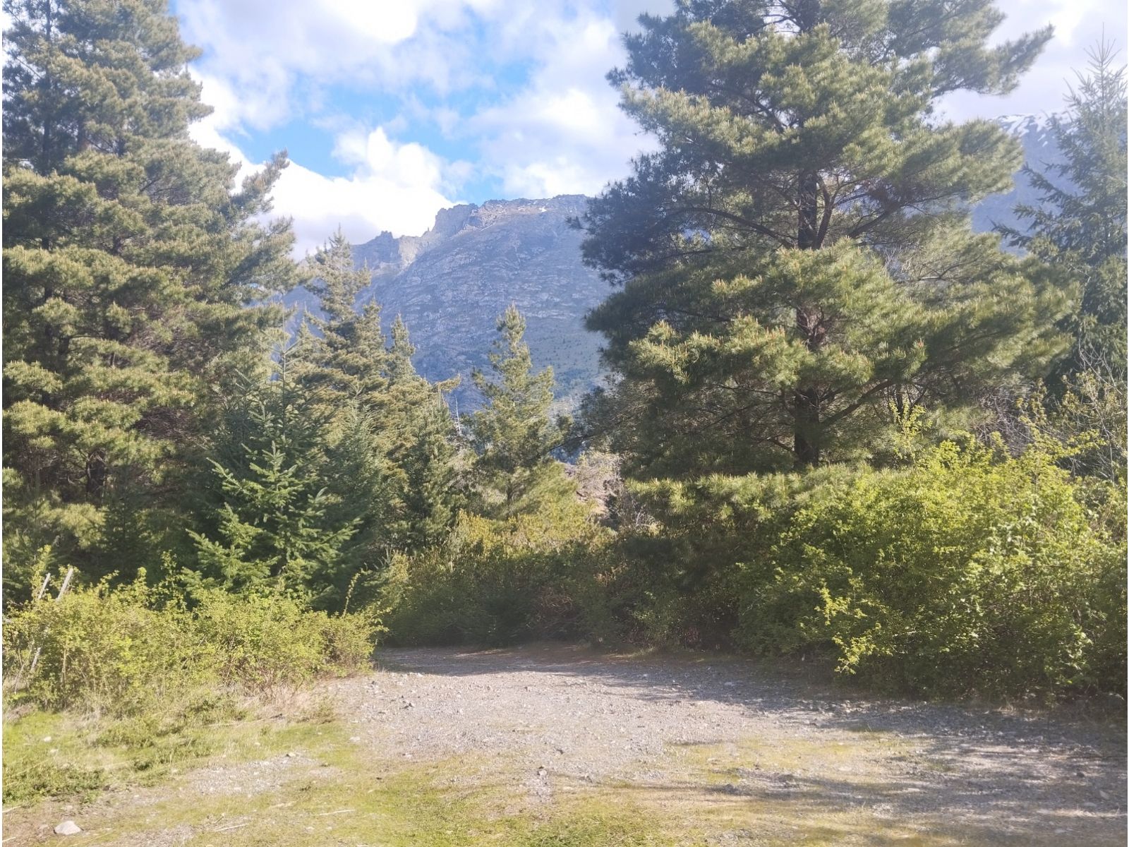 (058B) EL HOYO ( El Pedregoso), Terreno de 6Has - 5