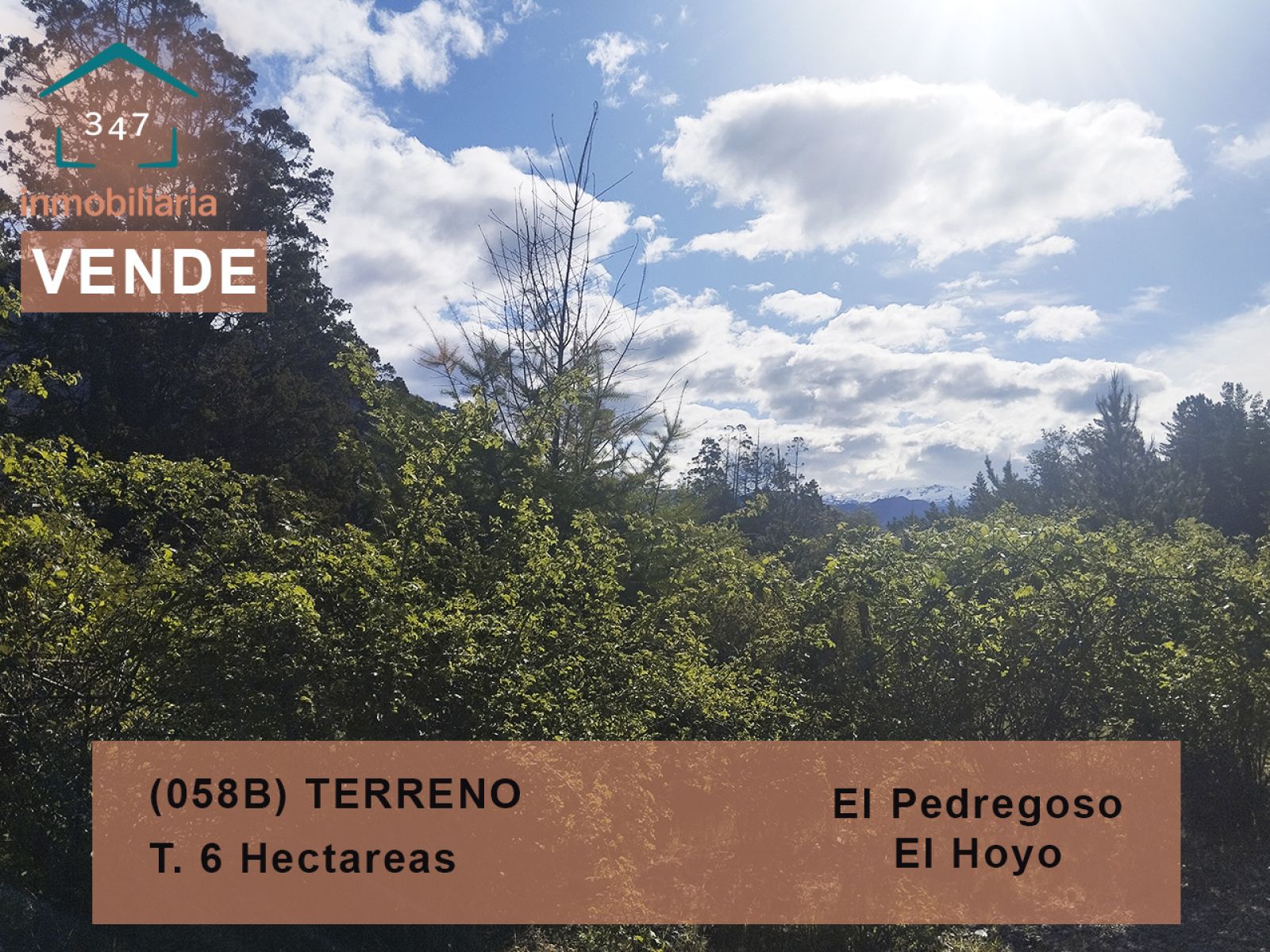 (058B) EL HOYO ( El Pedregoso), Terreno de 6Has - 1