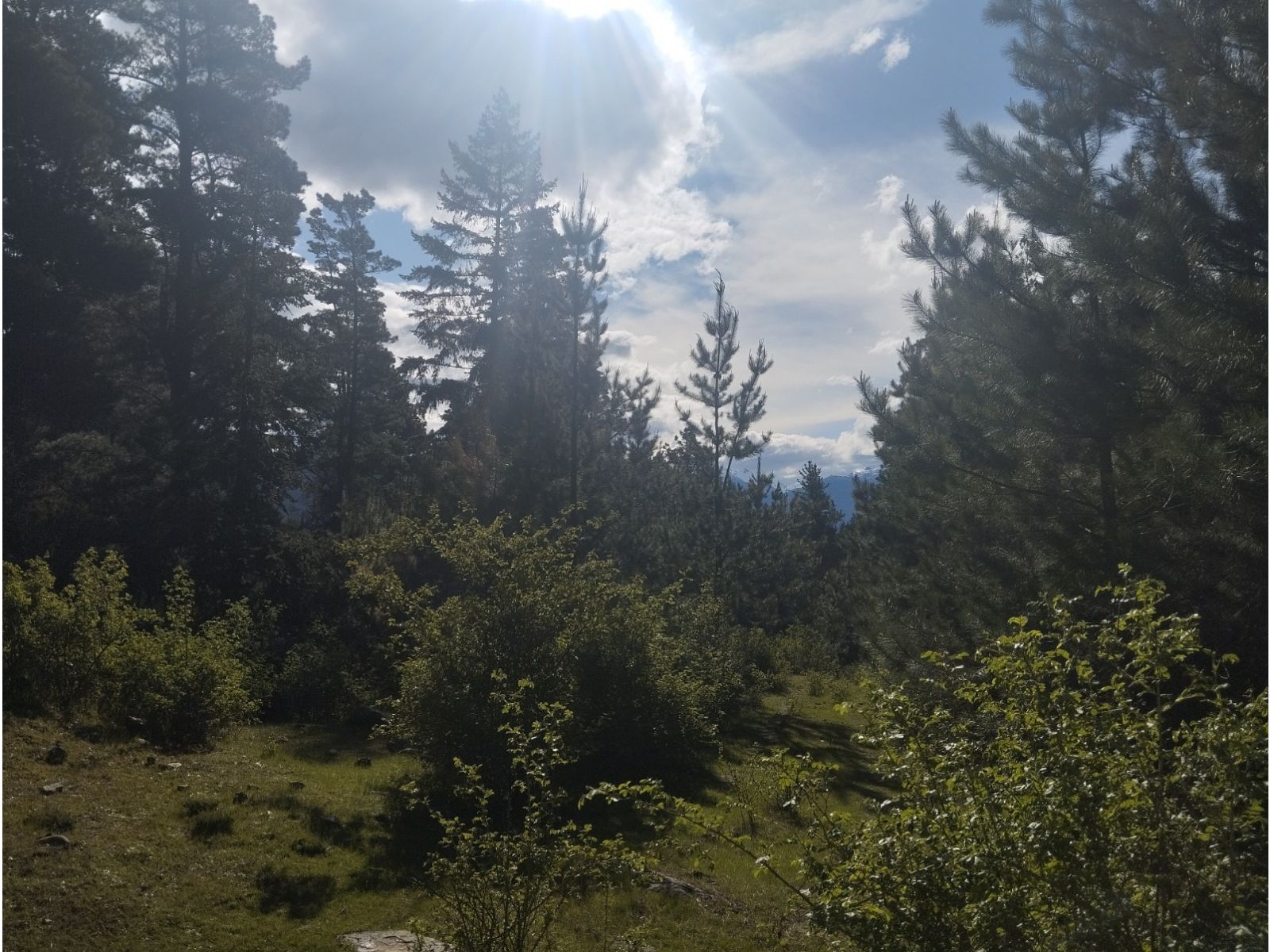 (058B) EL HOYO ( El Pedregoso), Terreno de 6Has - 7