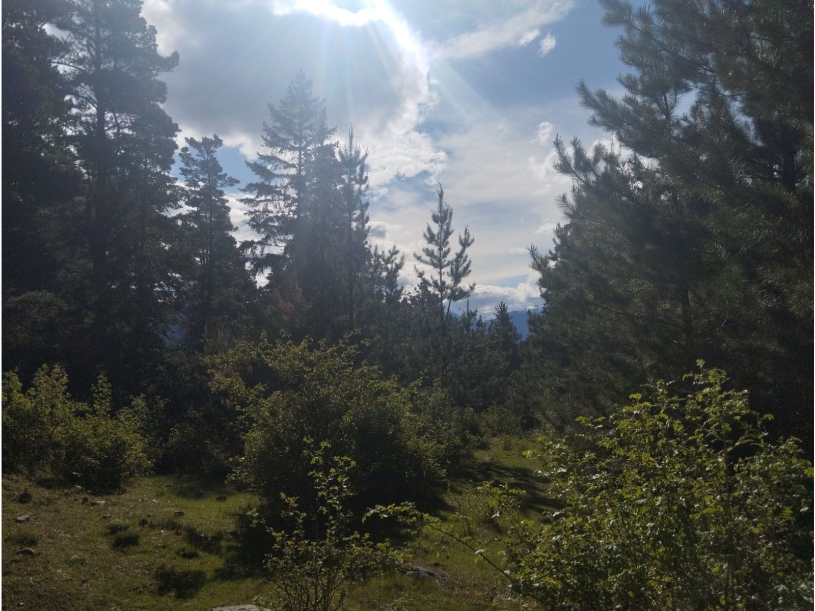 (058B) EL HOYO ( El Pedregoso), Terreno de 6Has - 6