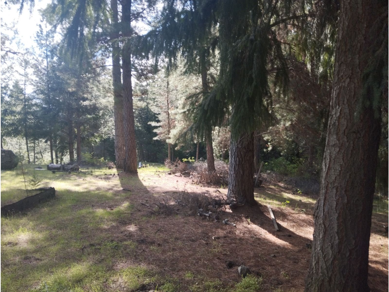 (058B) EL HOYO ( El Pedregoso), Terreno de 6Has - 11