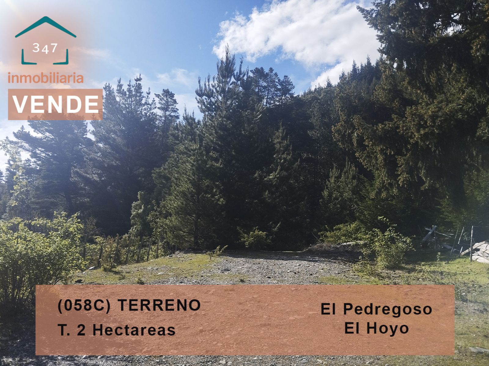 (058C) EL HOYO (El Pedregoso) Terreno en condominio de 2Has - 1