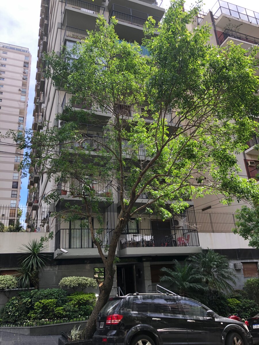 2 ambientes balcón vista abierta - 15