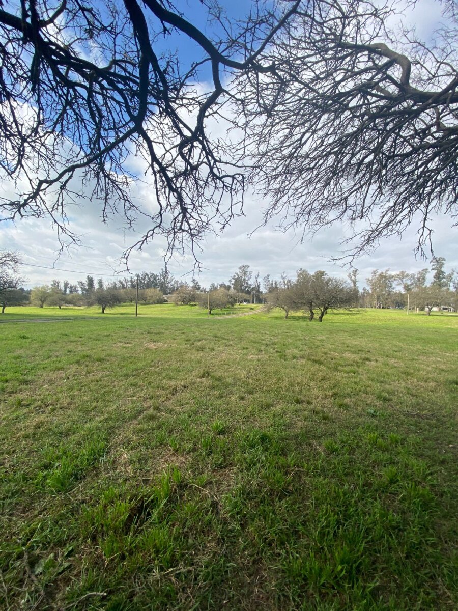 Lote en barrio Chacras Del Rincón - 7