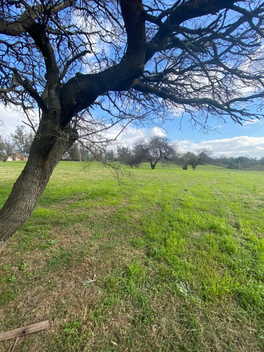 Lote en barrio Chacras Del Rincón - 8
