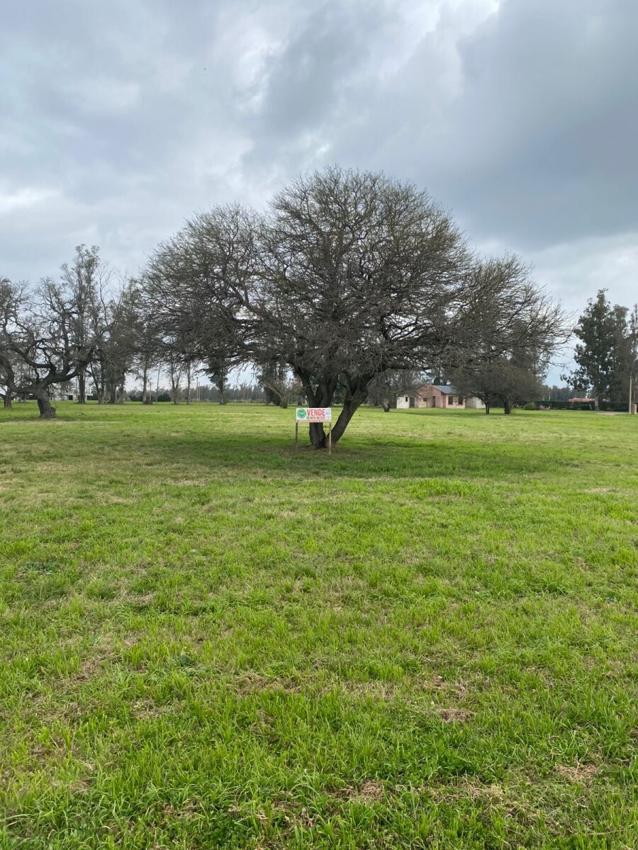 Lote en barrio Chacras Del Rincón - 11