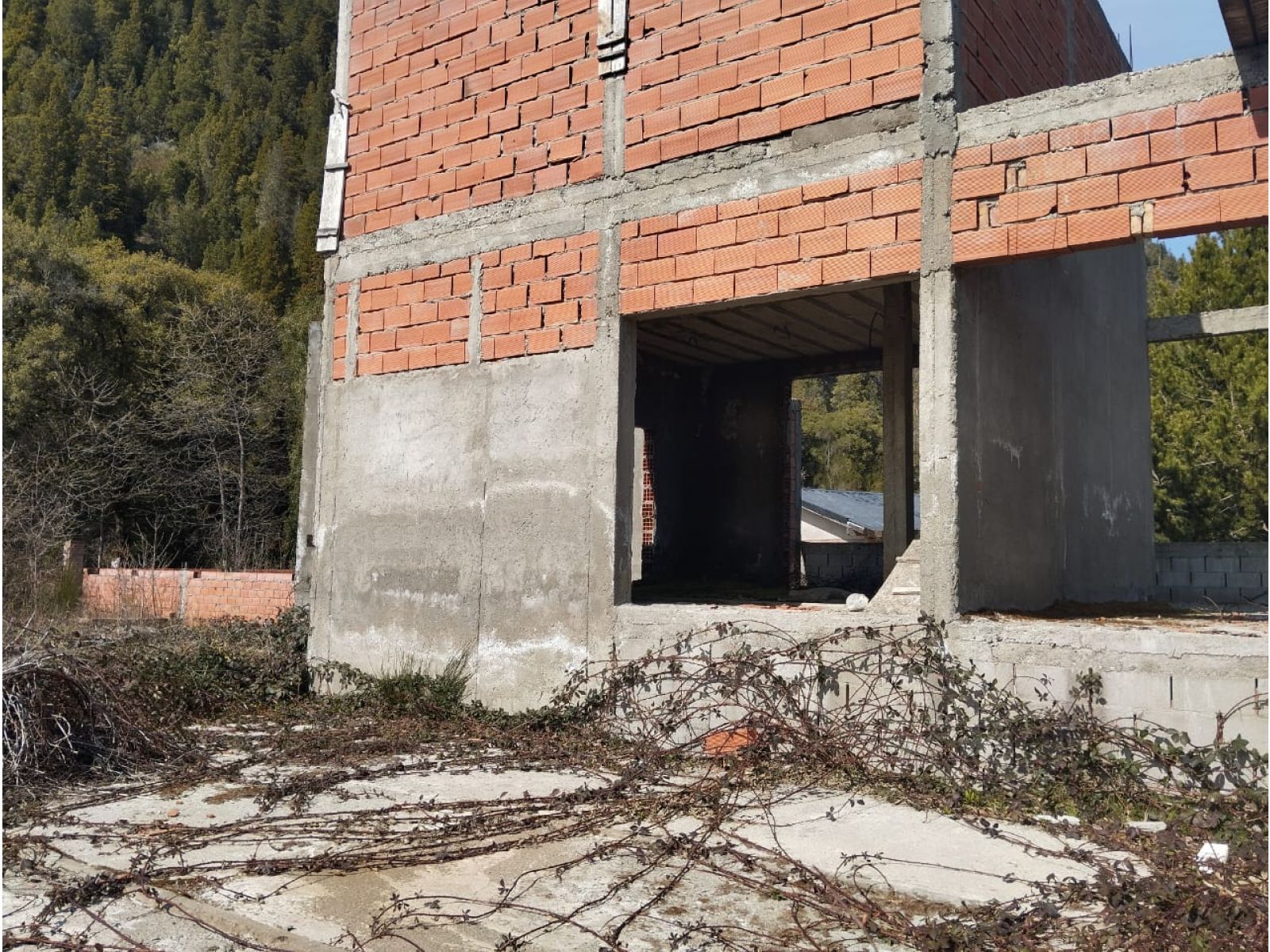 (059) LAGO PUELO (Altos Di Puelo)Terreno con mejora - 11