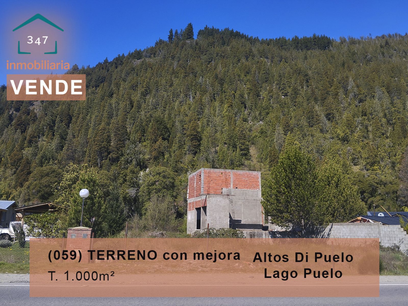 (059) LAGO PUELO (Altos Di Puelo)Terreno con mejora - 1
