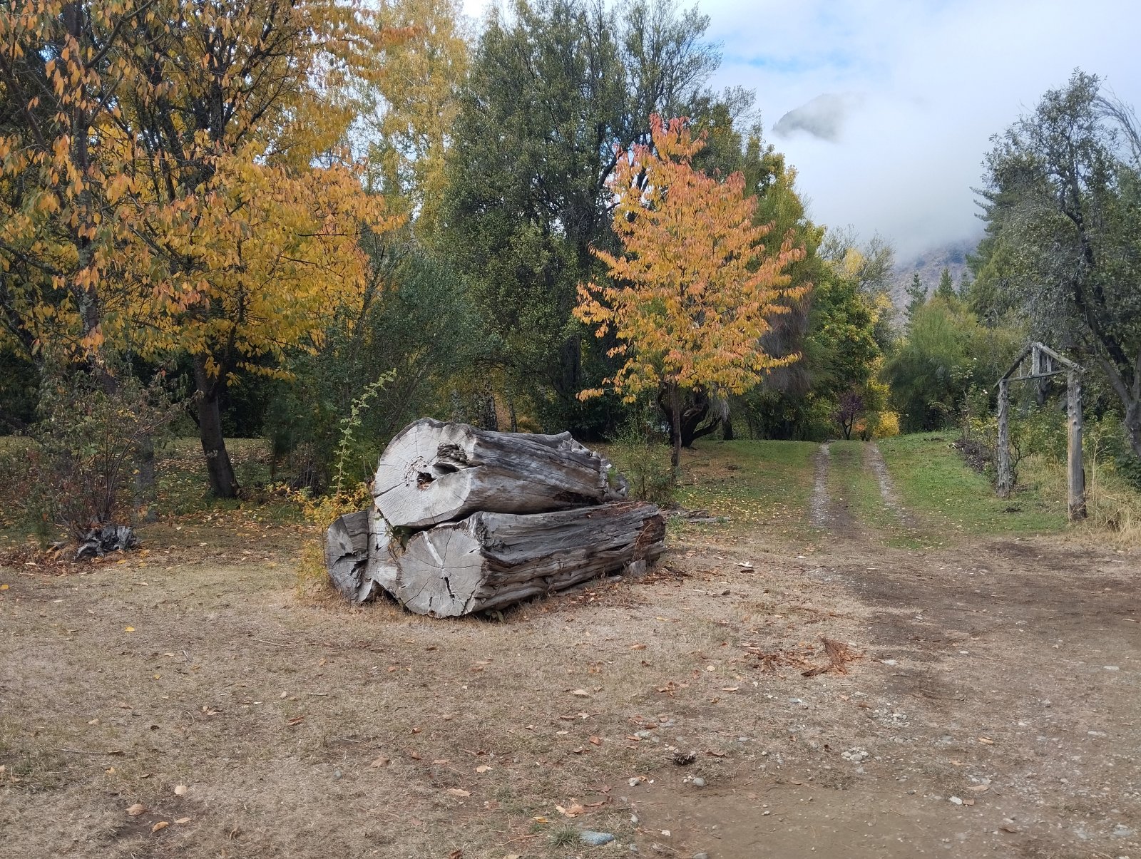 (063) BOLSON (Los Repollos), Chacra de 7,3Has. con tres viviendas — foto 8