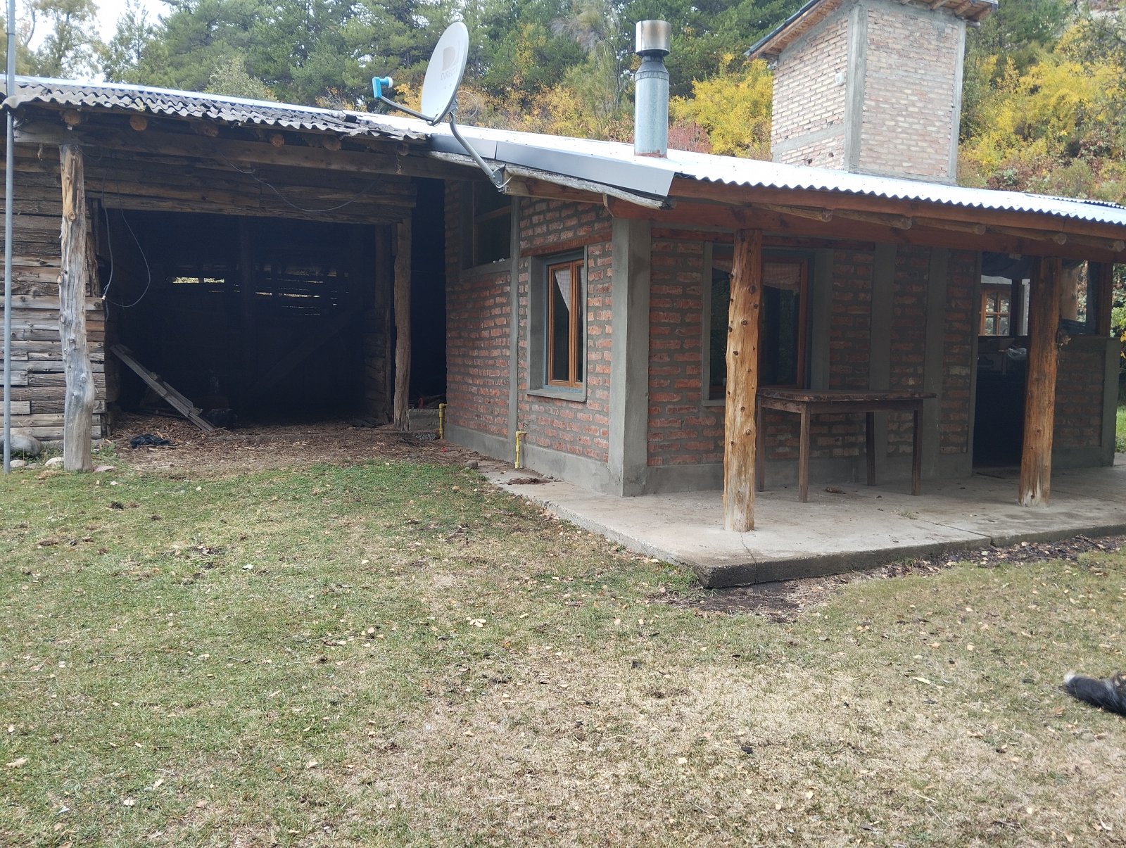 (063) BOLSON (Los Repollos), Chacra de 7,3Has. con tres viviendas - 43