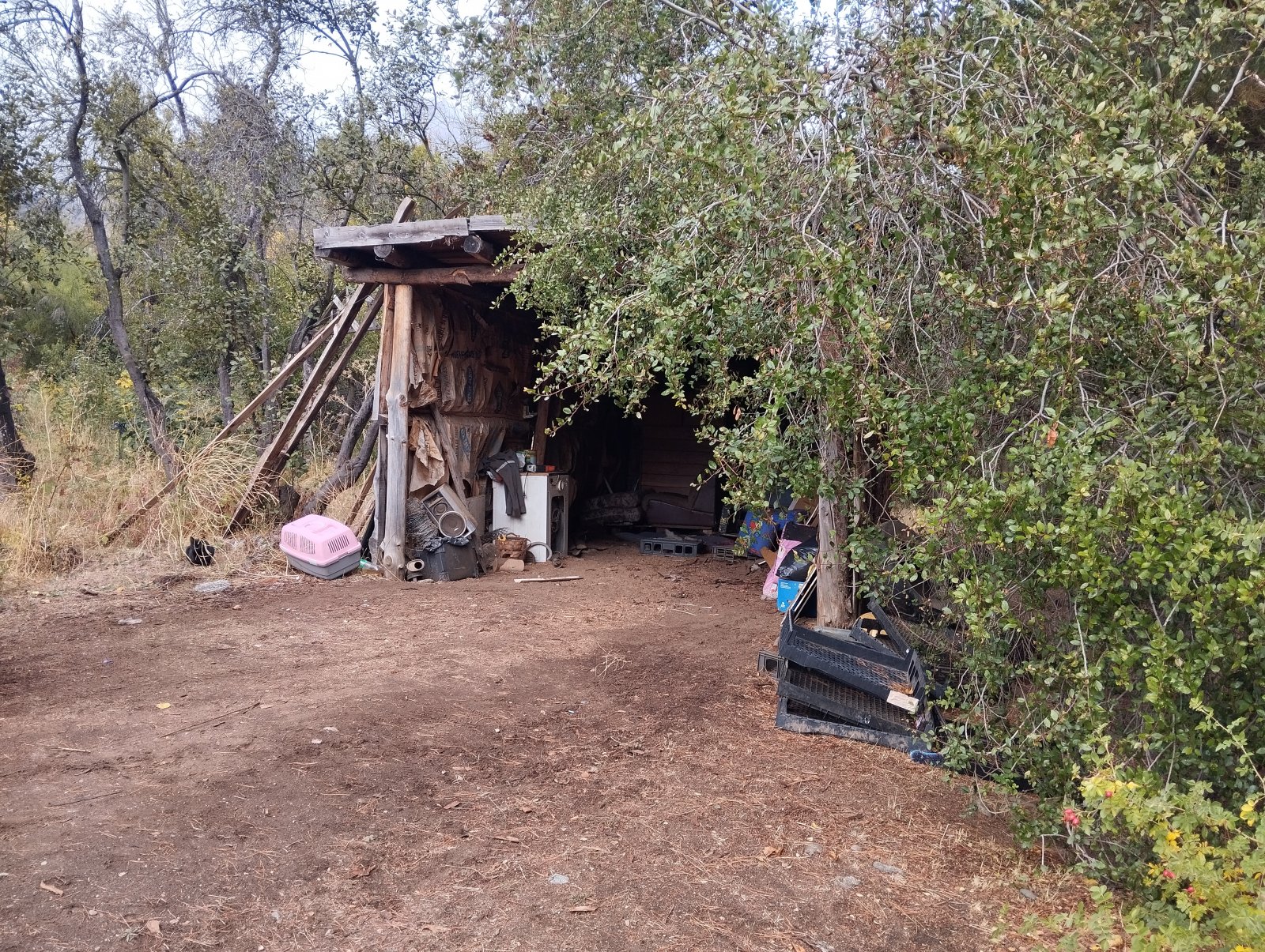 (063) BOLSON (Los Repollos), Chacra de 7,3Has. con tres viviendas — foto 12