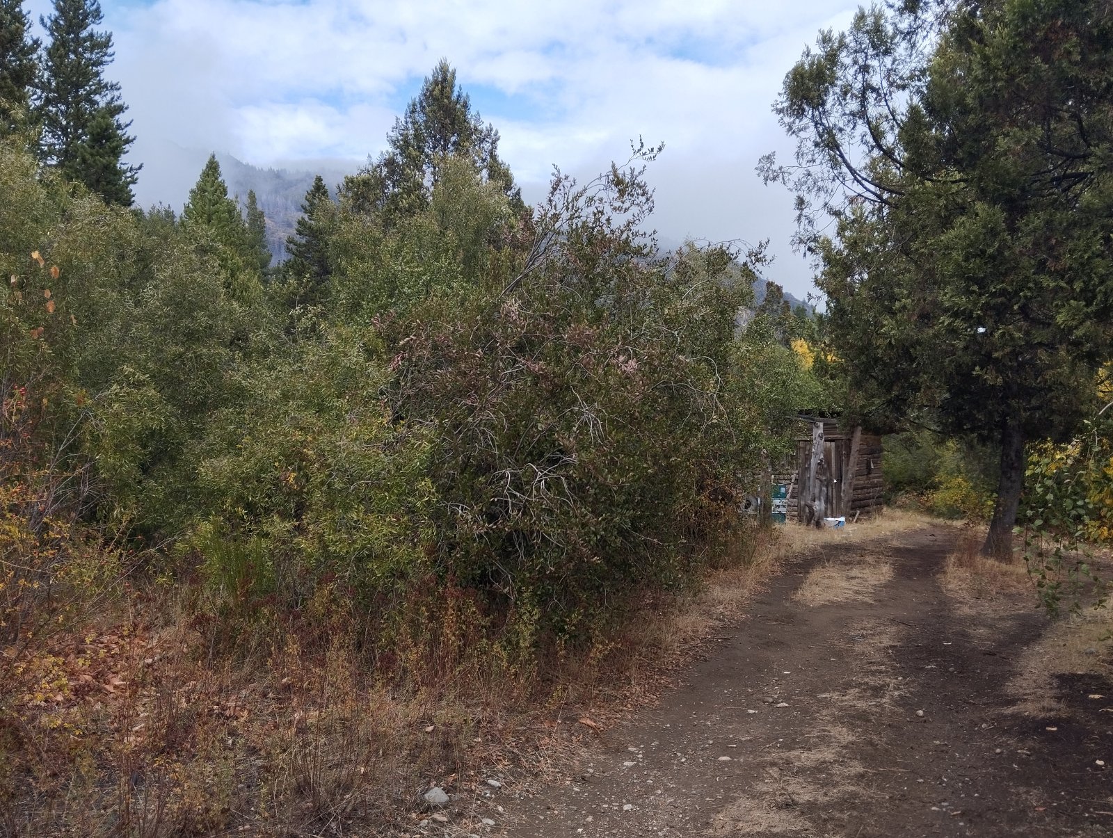 (063) BOLSON (Los Repollos), Chacra de 7,3Has. con tres viviendas - 19