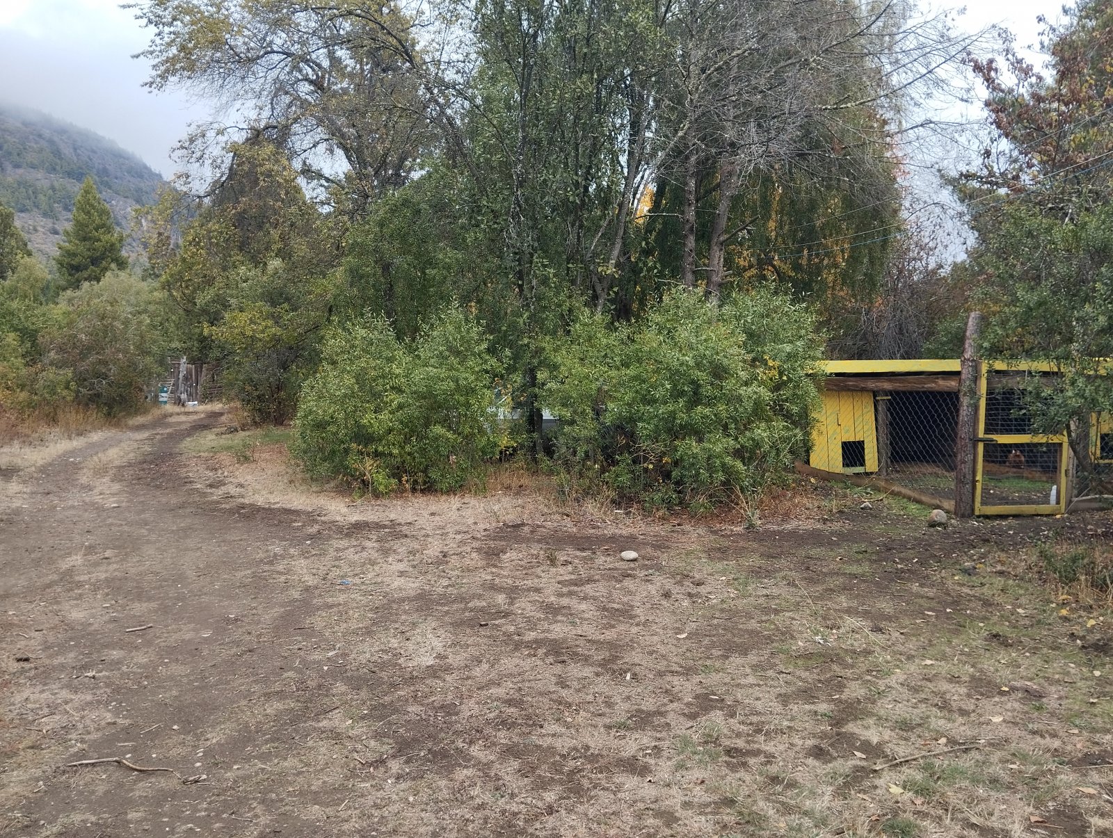 (063) BOLSON (Los Repollos), Chacra de 7,3Has. con tres viviendas - 16
