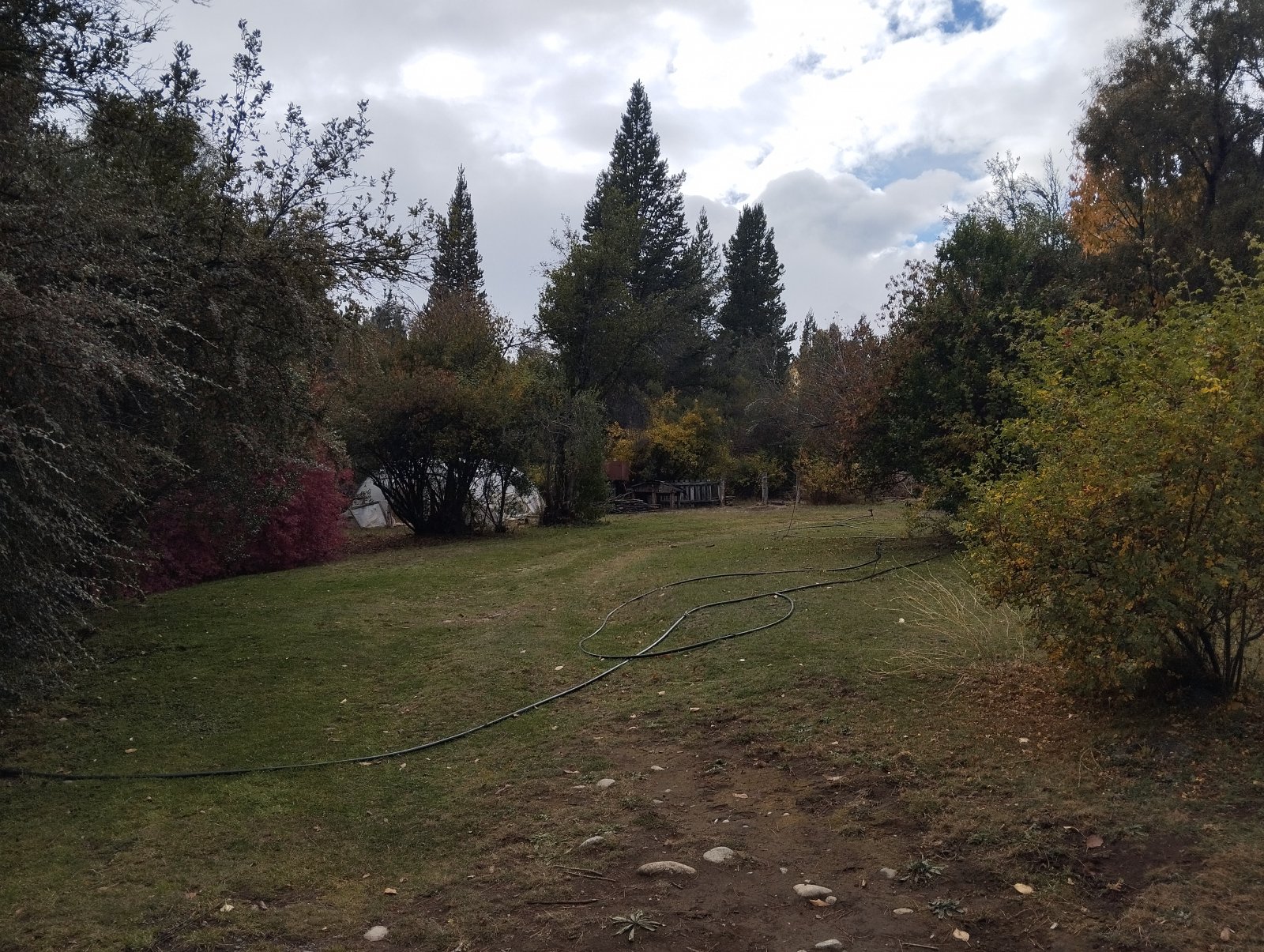 (063) BOLSON (Los Repollos), Chacra de 7,3Has. con tres viviendas — foto 2