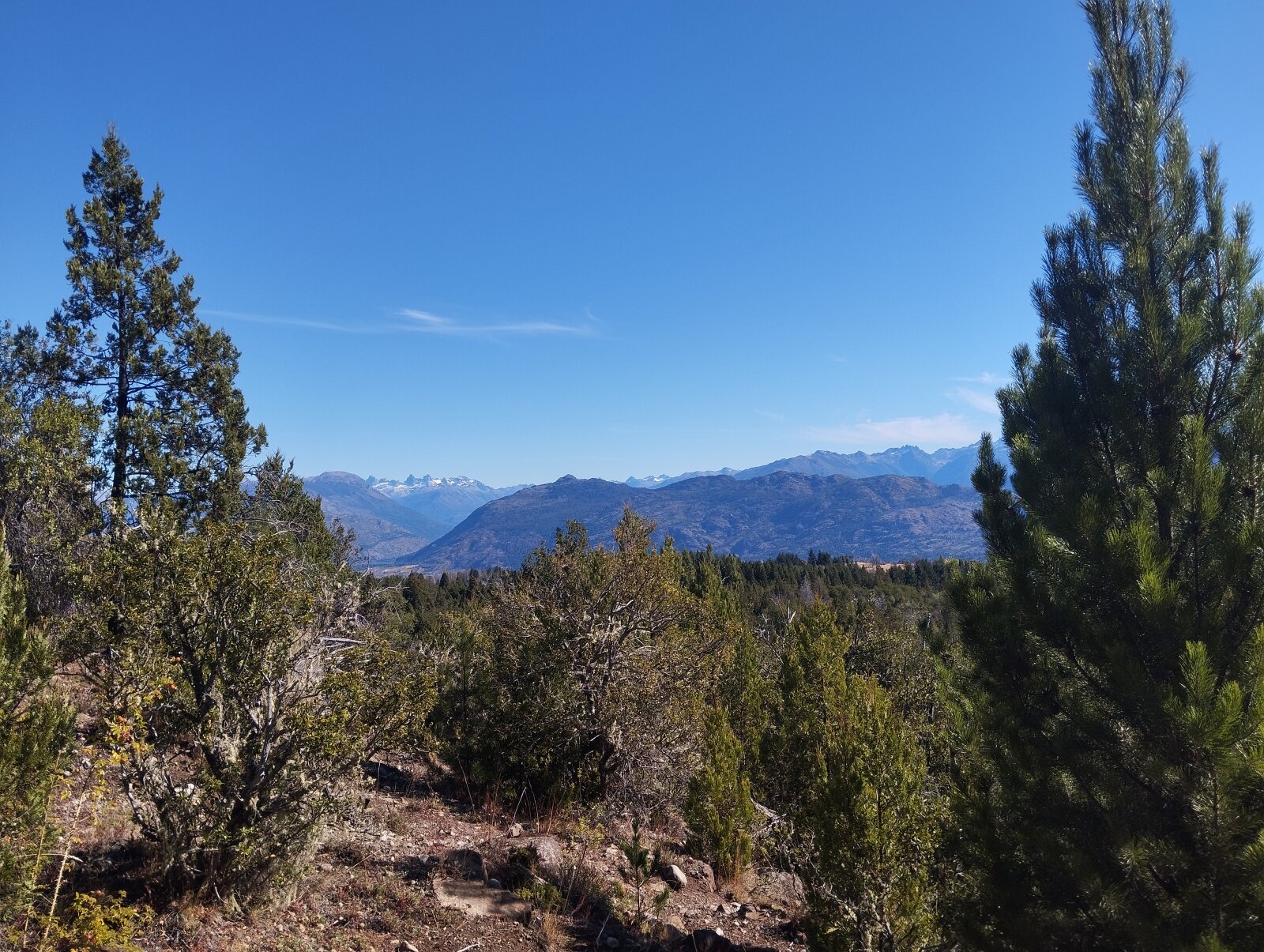 (066)LAGO PUELO, Bo. Las Golondinas, CAMPO de 14,97 has. - 6