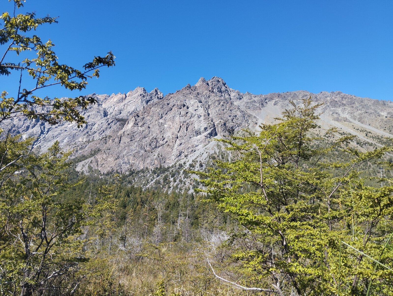 (066)LAGO PUELO, Bo. Las Golondinas, CAMPO de 14,97 has. - 2