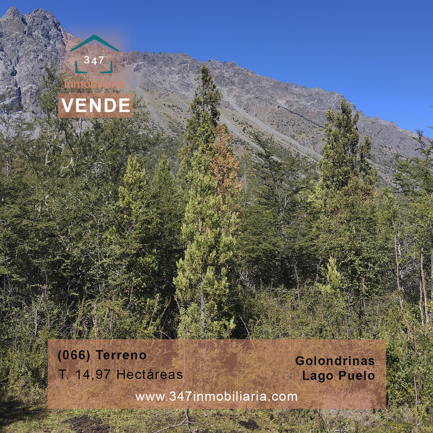(066)LAGO PUELO, Bo. Las Golondinas, CAMPO de 14,97 has. - 1