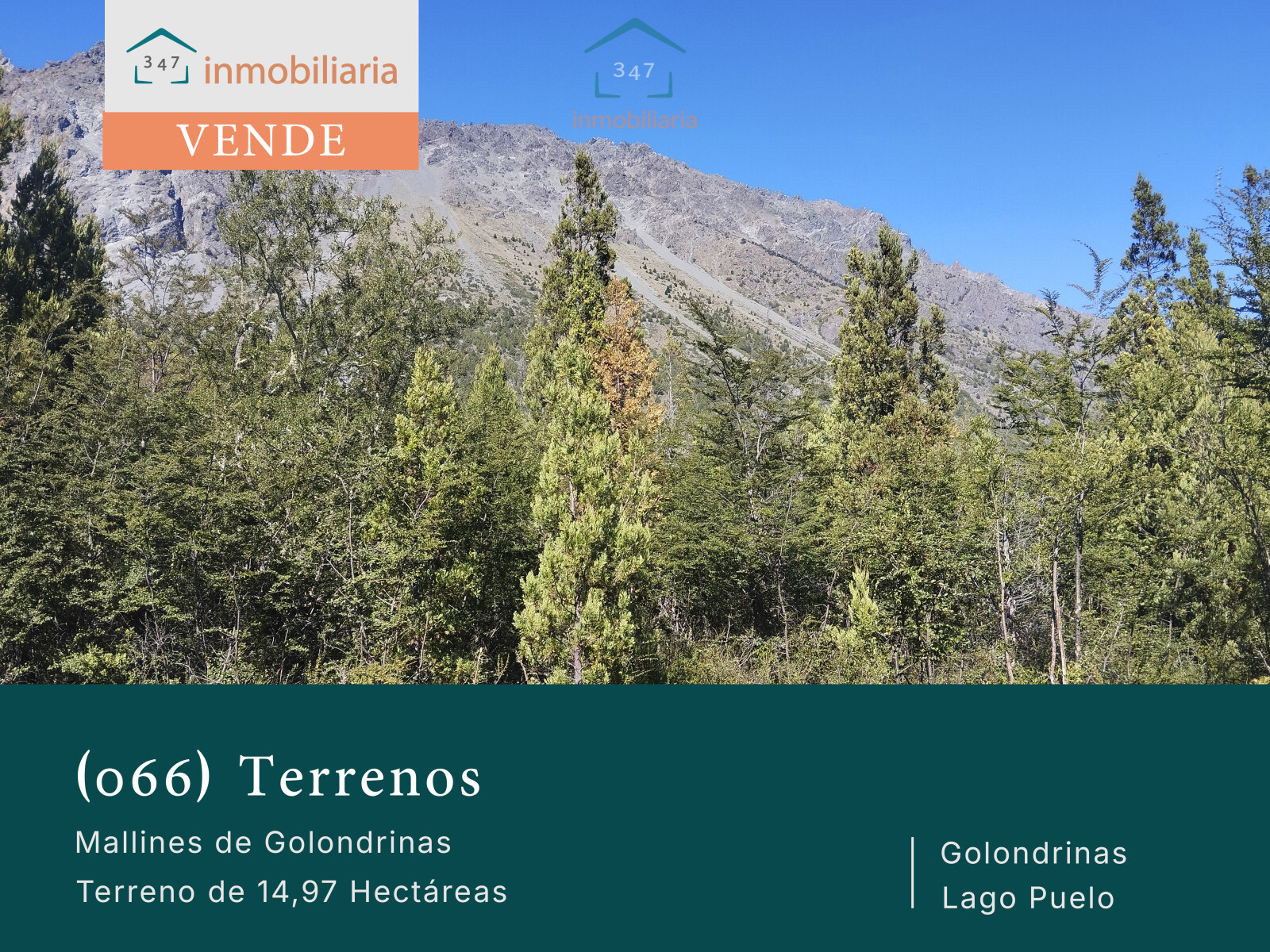 (066)LAGO PUELO, Bo. Las Golondinas, CAMPO de 14,97 has. - 1