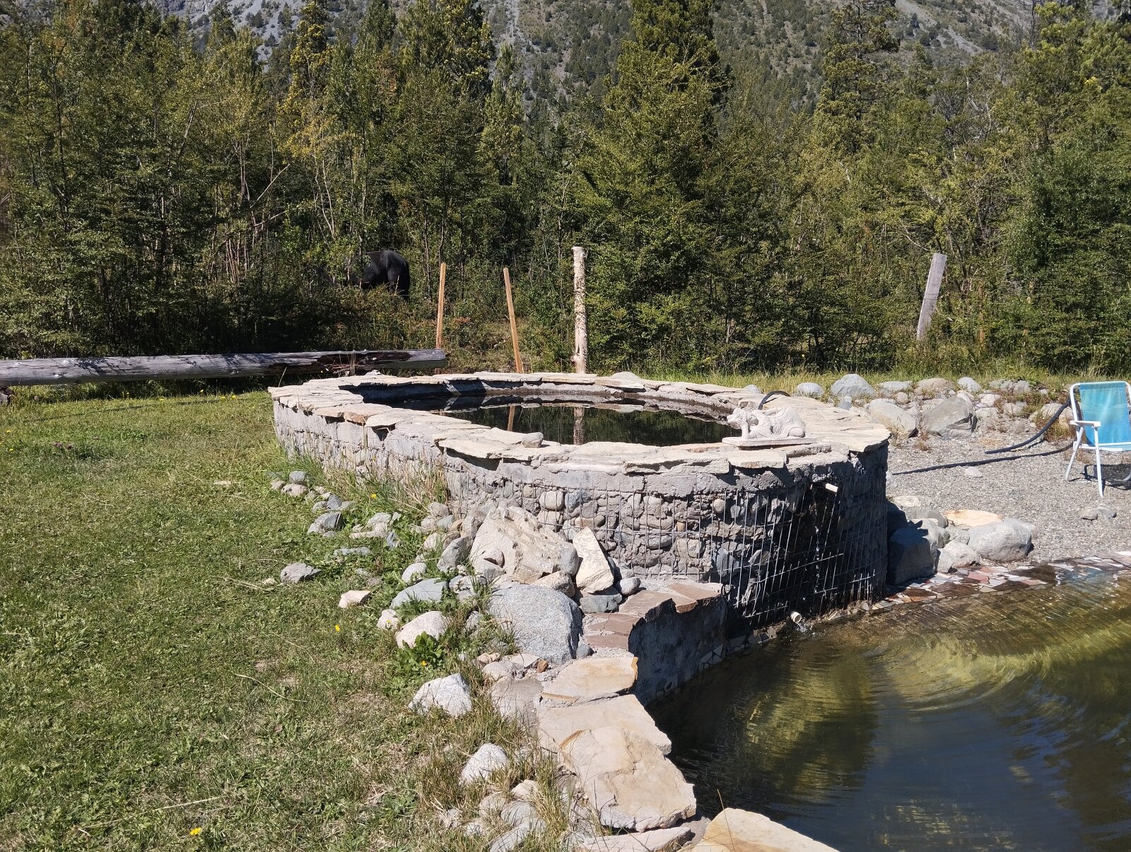 (066)LAGO PUELO, Bo. Las Golondinas, CAMPO de 14,97 has. - 4