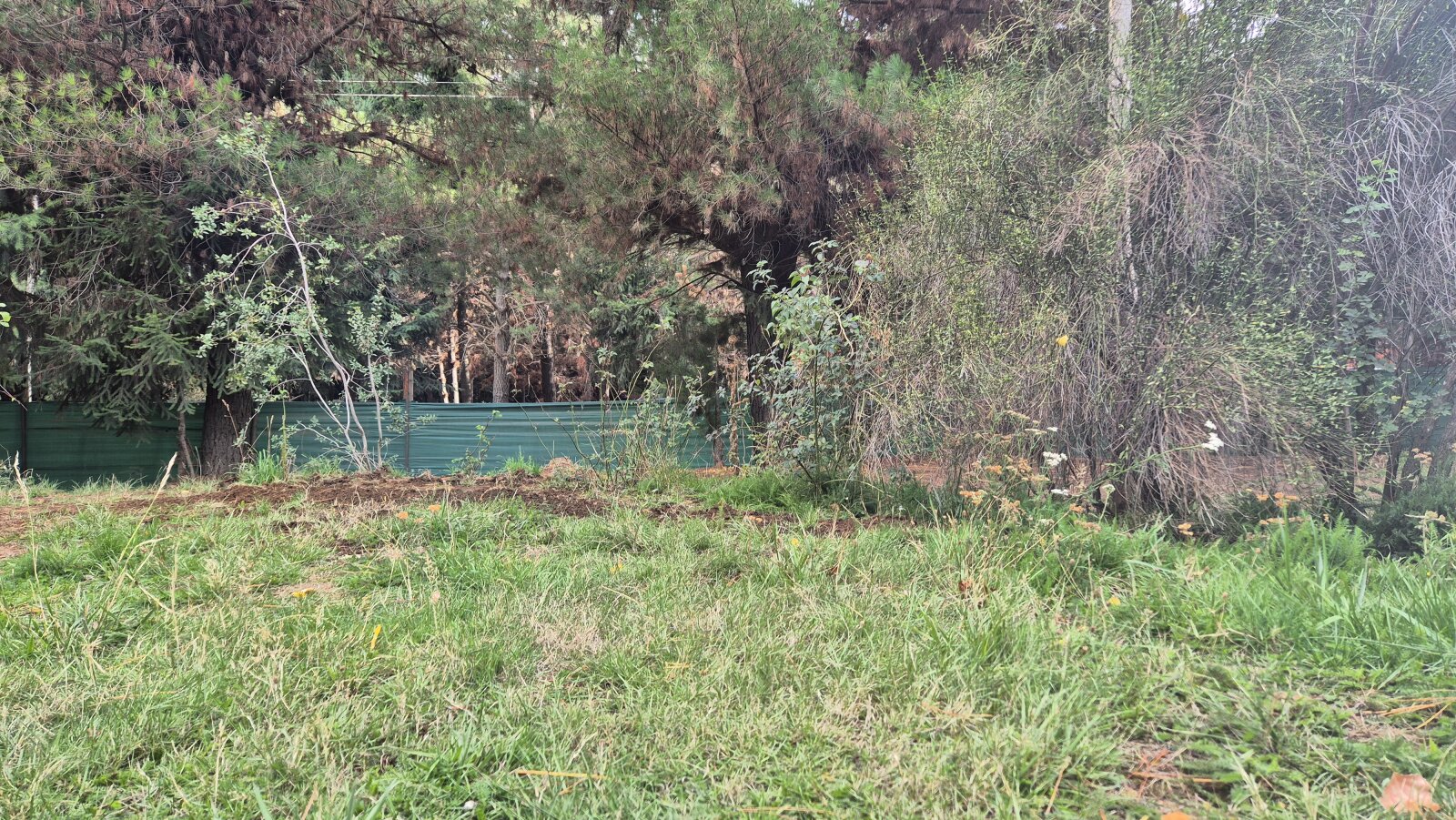 (076) EL BOLSON-Mallin Casa con terreno en condominio e 1500 mt² - 20