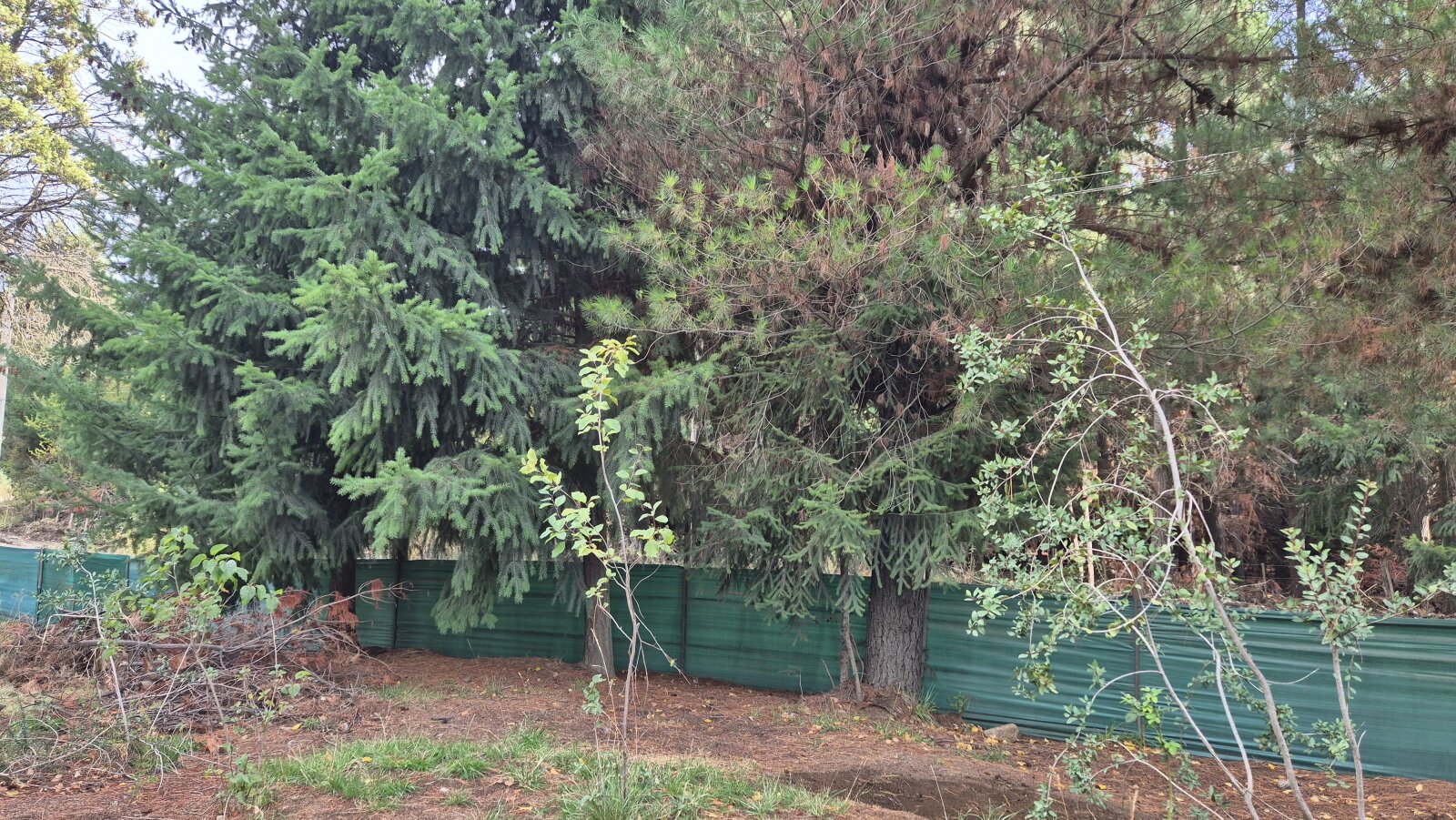 (076) EL BOLSON-Mallin Casa con terreno en condominio e 1500 mt² - 22