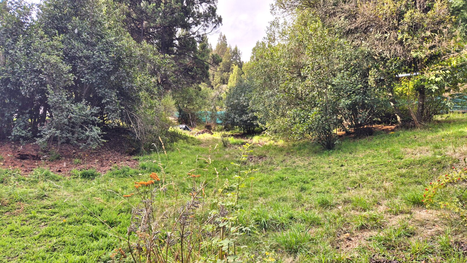 (076) EL BOLSON-Mallin Casa con terreno en condominio e 1500 mt² - 23