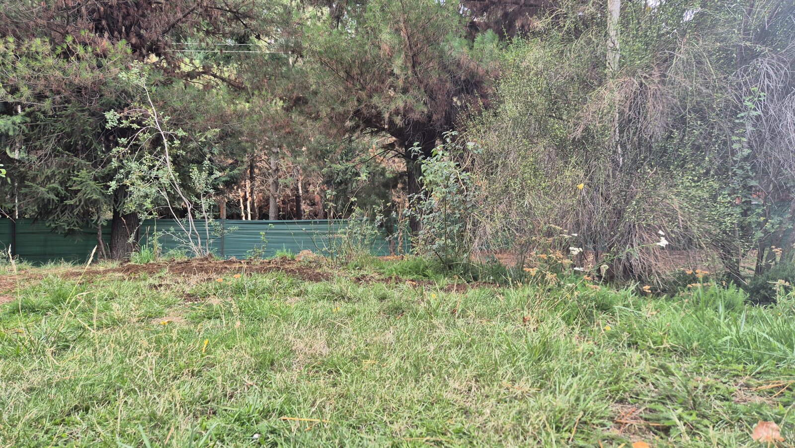 (076) EL BOLSON-Mallin Casa con terreno en condominio e 1500 mt² - 19