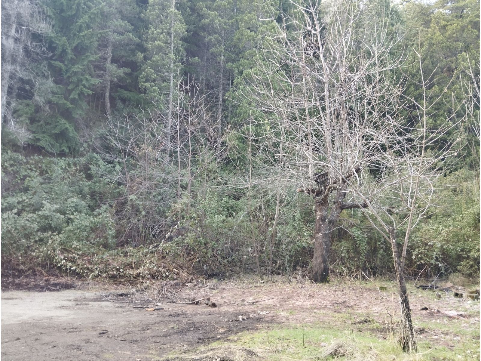 (044) LAGO PUELO (B° Villa del Lago), lote de 1.884 m2 - 2