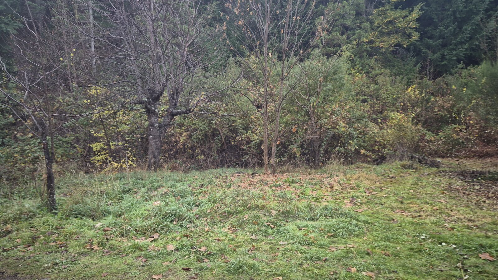 (044) LAGO PUELO (B° Villa del Lago), lote de 1.884 m2 - 13