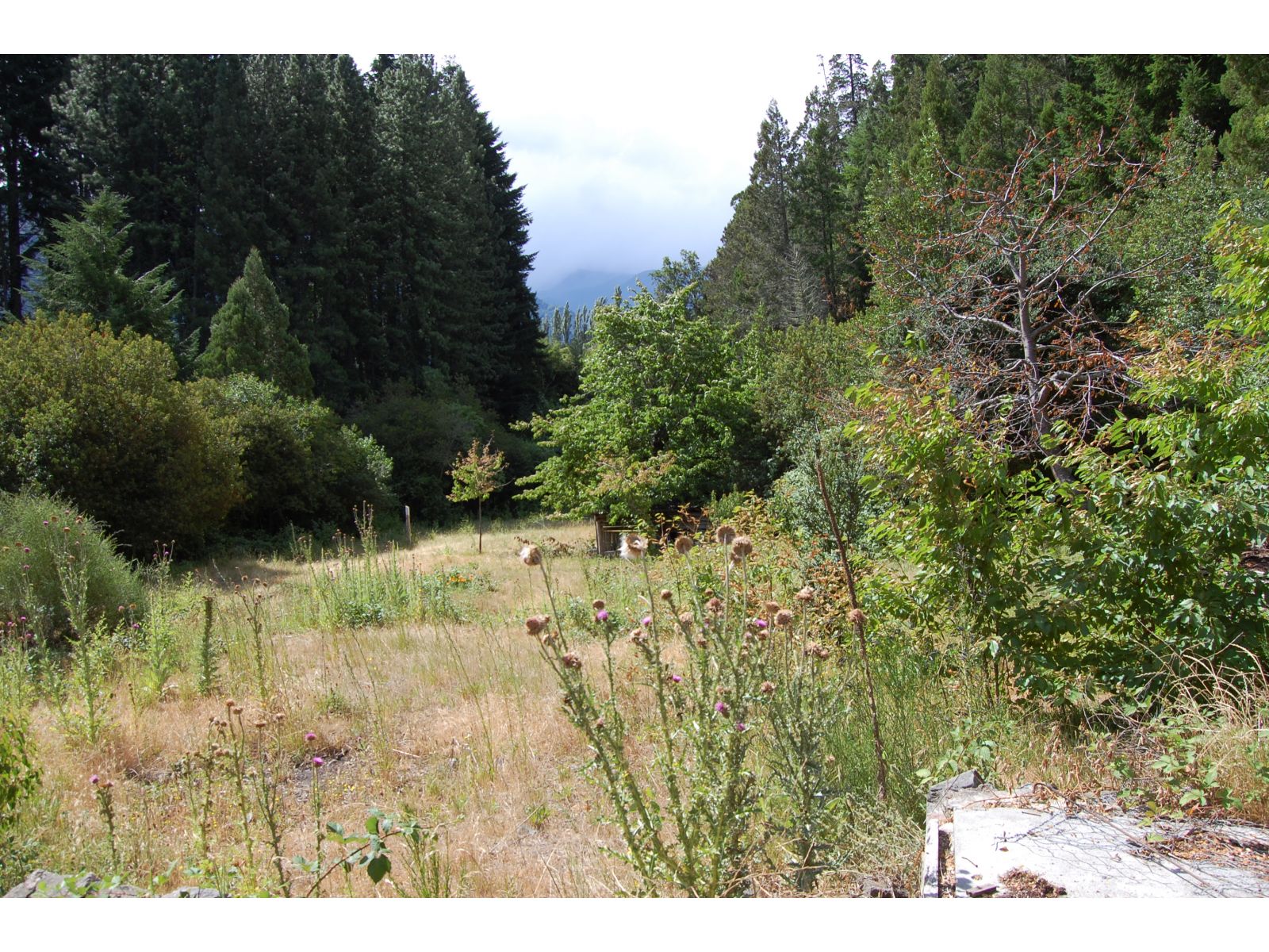 (044) LAGO PUELO (B° Villa del Lago), lote de 1.884 m2 - 4