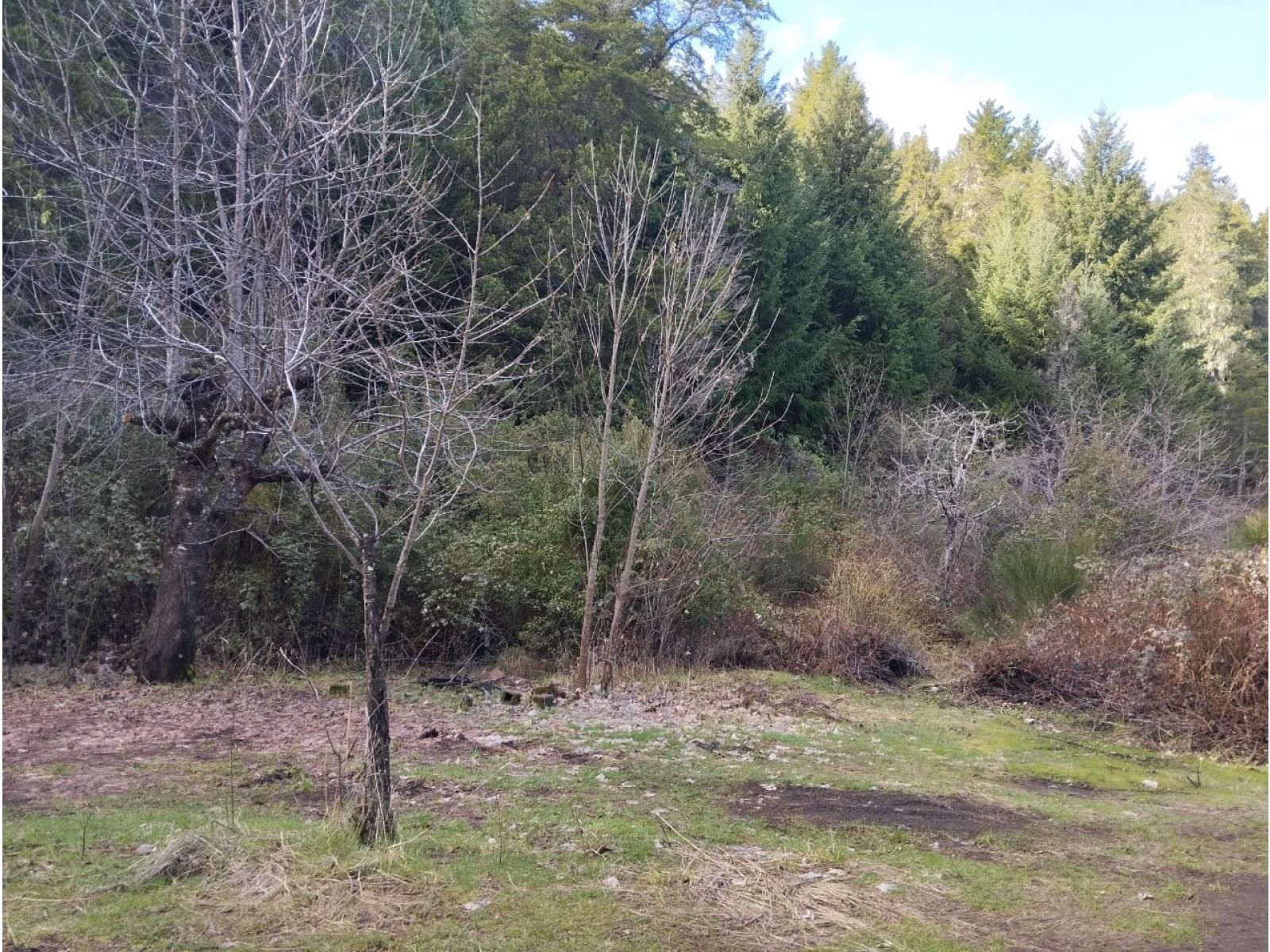 (044) LAGO PUELO (B° Villa del Lago), lote de 1.884 m2 - 7