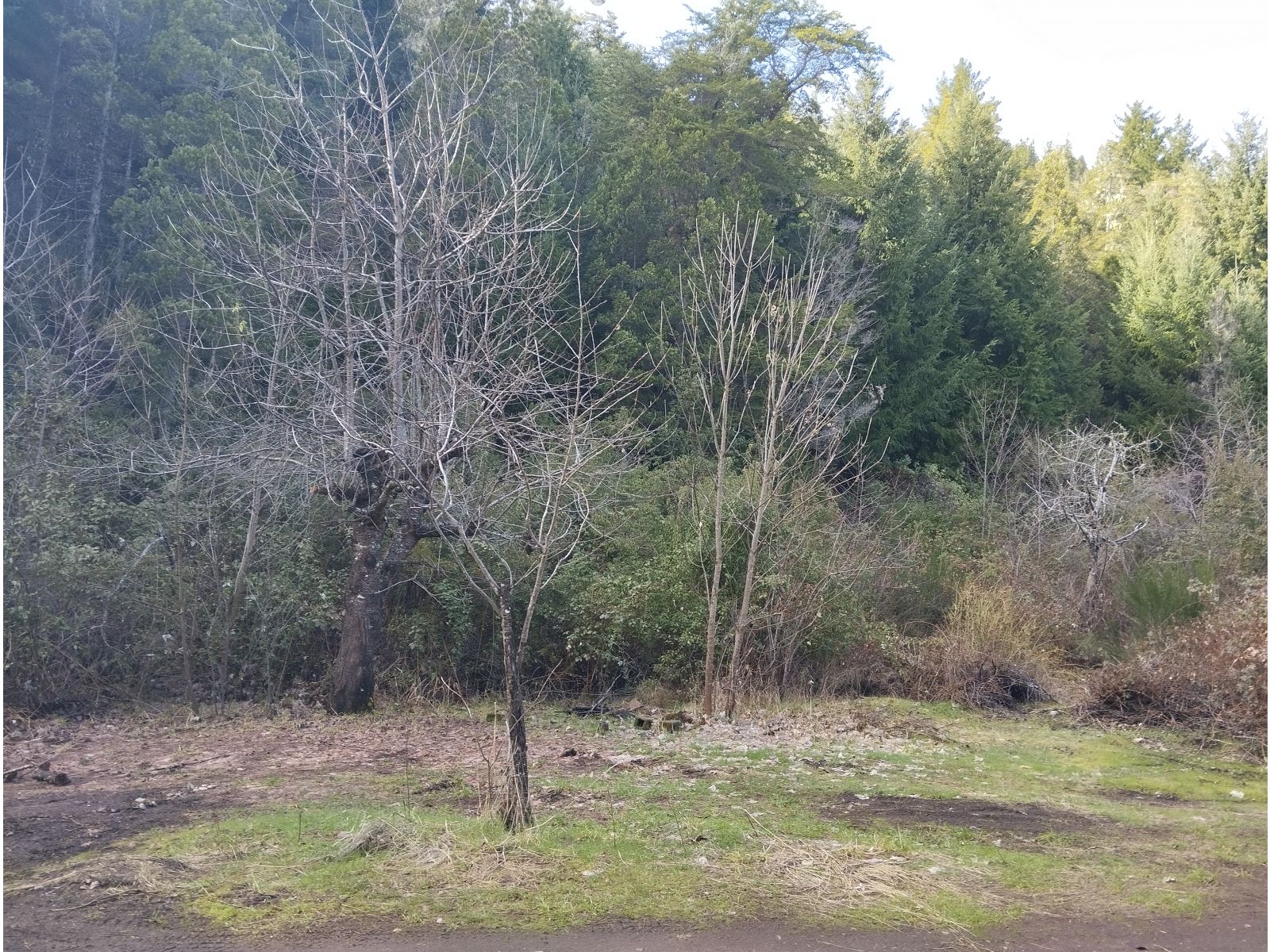 (044) LAGO PUELO (B° Villa del Lago), lote de 1.884 m2 - 3