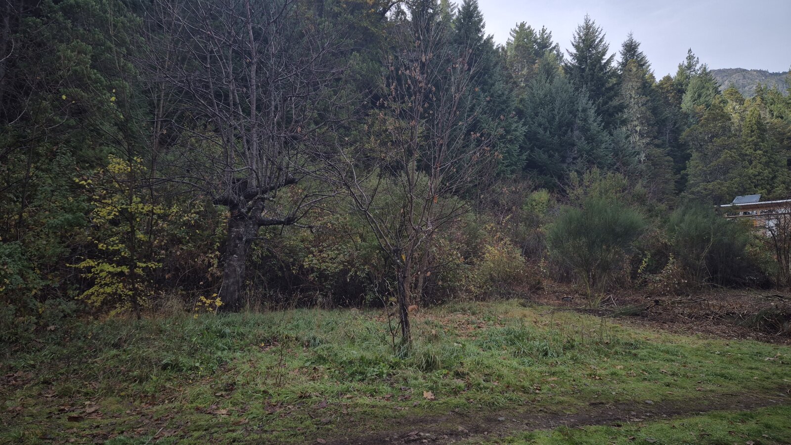 (044) LAGO PUELO (B° Villa del Lago), lote de 1.884 m2 - 16