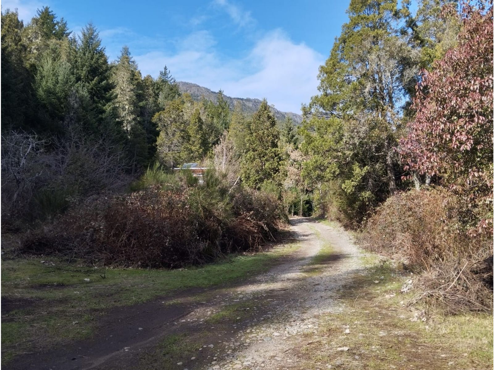 (044) LAGO PUELO (B° Villa del Lago), lote de 1.884 m2 - 6