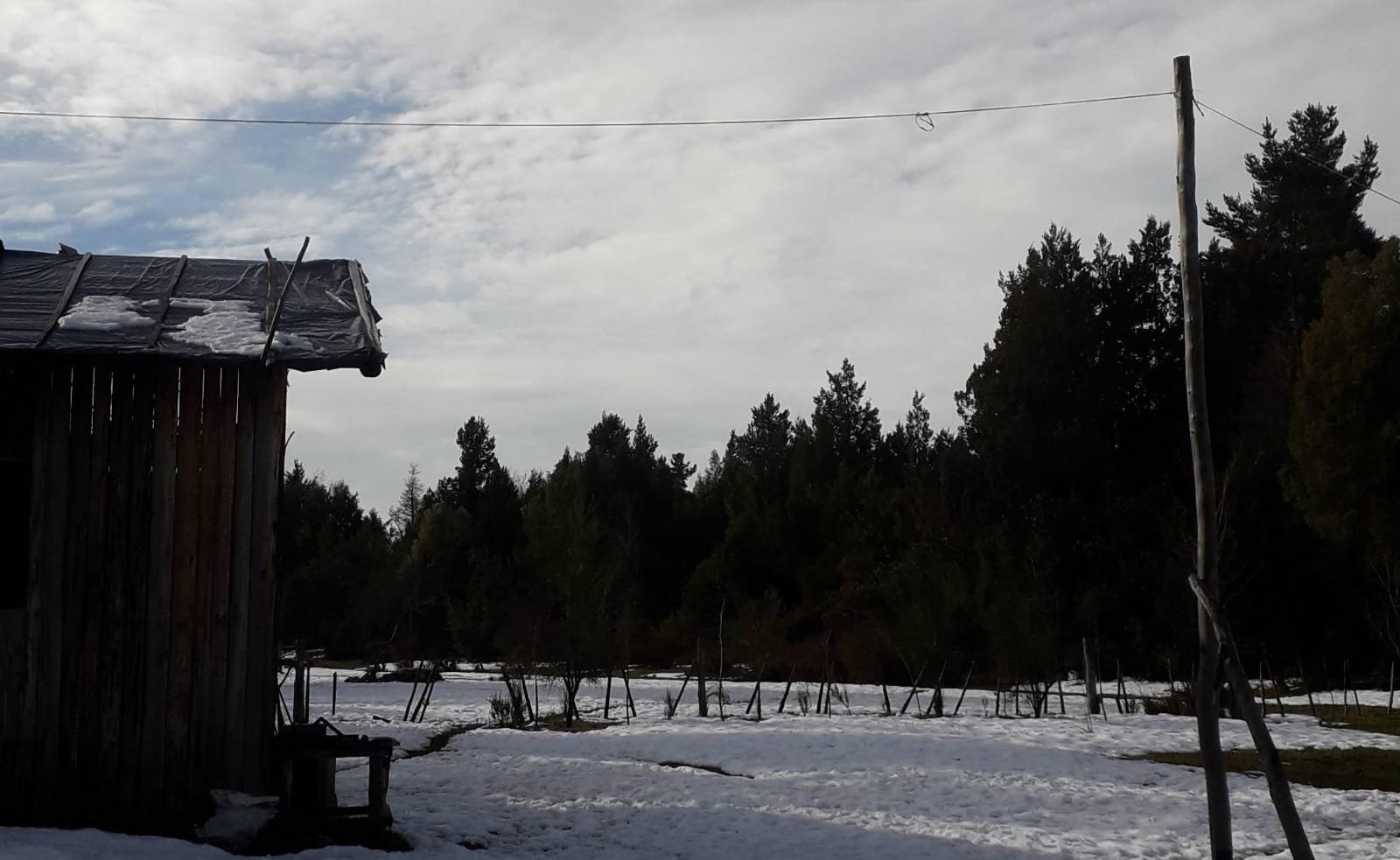 (070) Bolsón (Mallín Ahogado) Chacra de 6 Has - 45