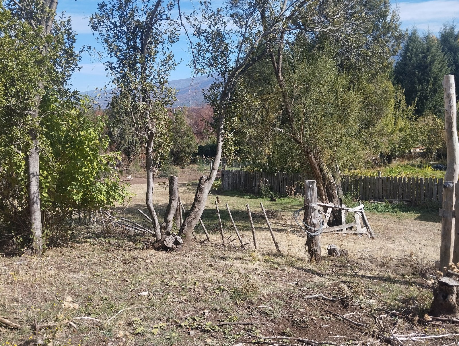 (070) Bolsón (Mallín Ahogado) Chacra de 6 Has — foto 3