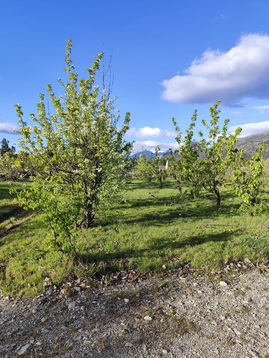 (RA004) Lotes en Preventa, 900 m2. Los Cerezos, El Bolsón - 6