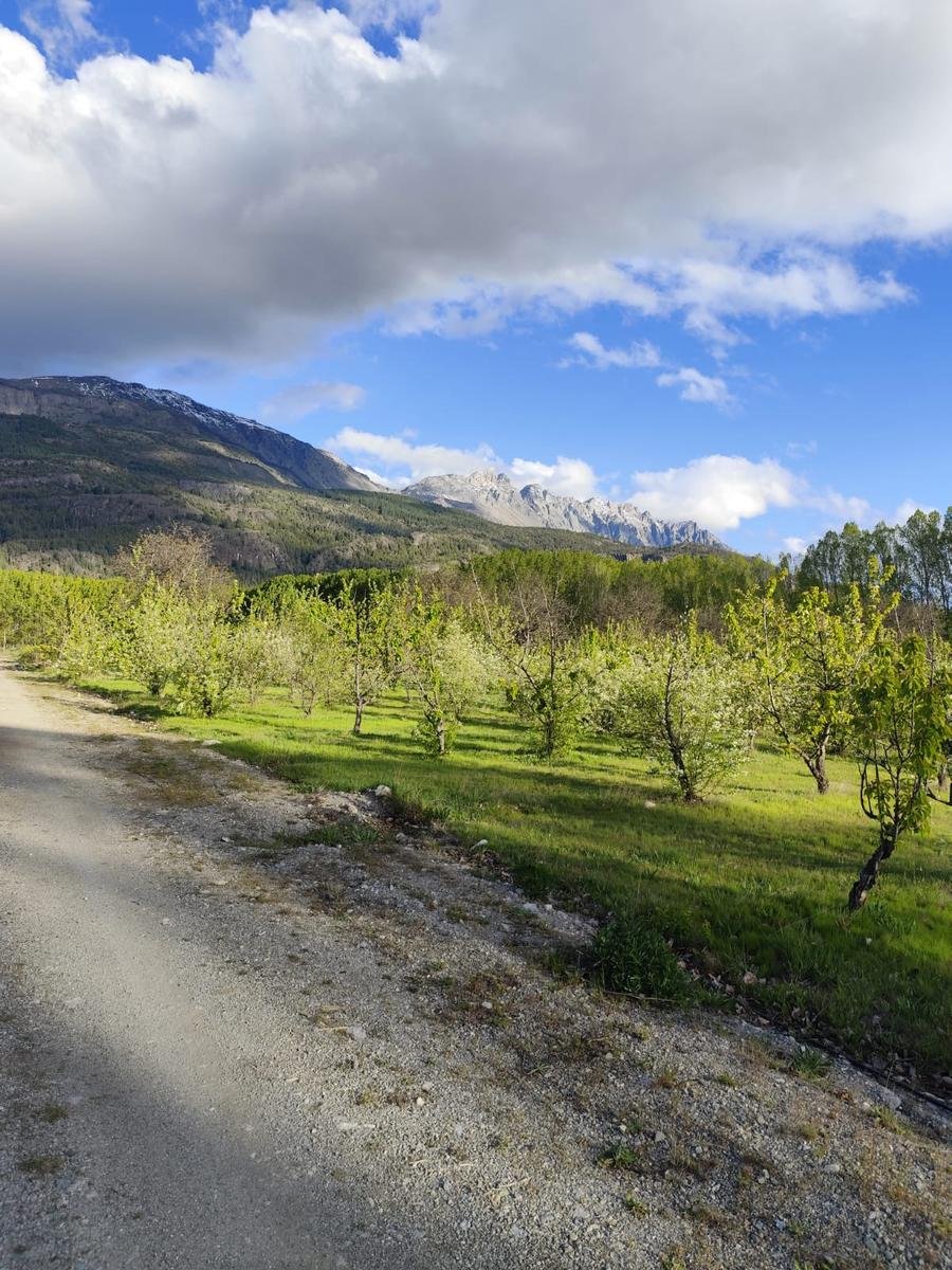 (RA004) Lotes en Preventa, 900 m2. Los Cerezos, El Bolsón - 2