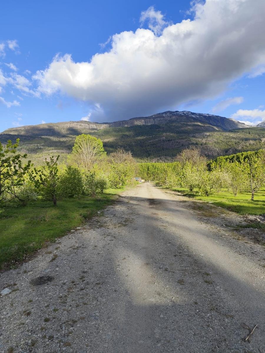 (RA004) Lotes en Preventa, 900 m2. Los Cerezos, El Bolsón - 5