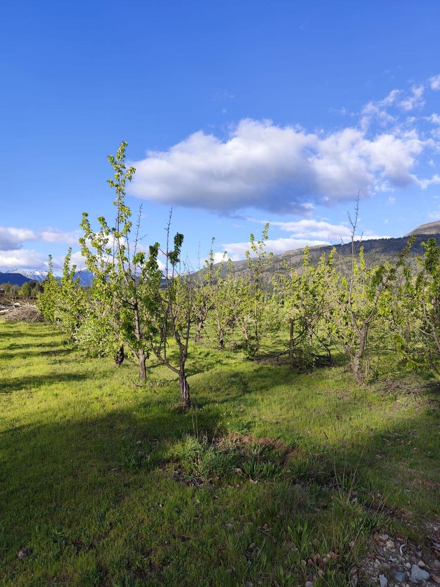 (RA004) Lotes en Preventa, 900 m2. Los Cerezos, El Bolsón - 8