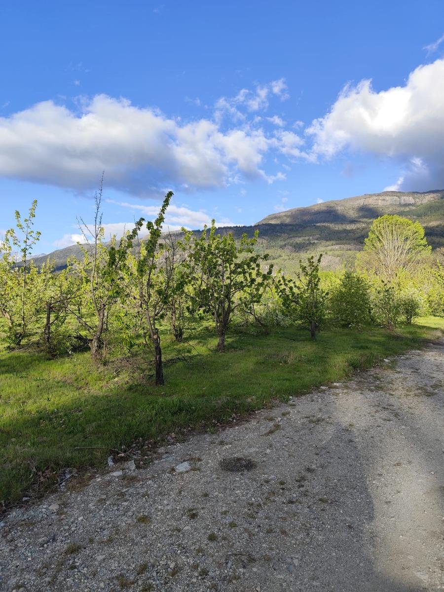 (RA004) Lotes en Preventa, 900 m2. Los Cerezos, El Bolsón - 4