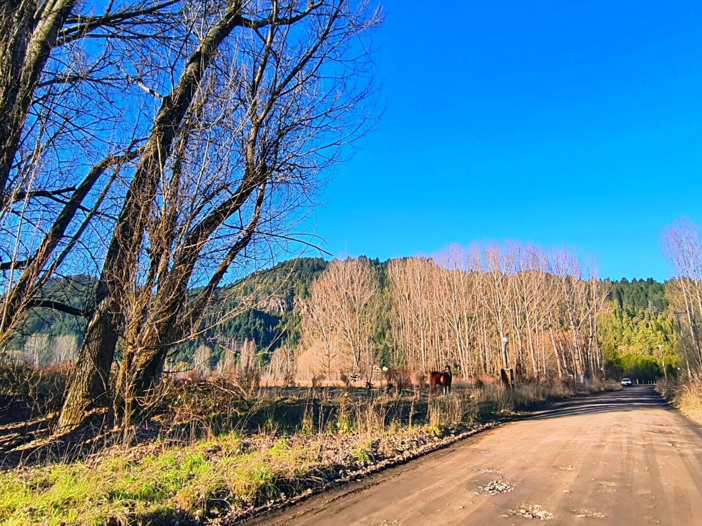 (087) LAGO PUELO, Terrenos 1800 m2, Pje. Entre Ríos - 10