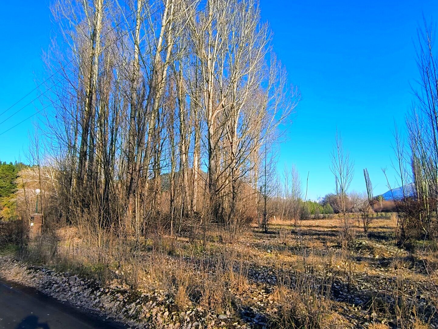 (087) LAGO PUELO, Terrenos 1800 m2, Pje. Entre Ríos - 13