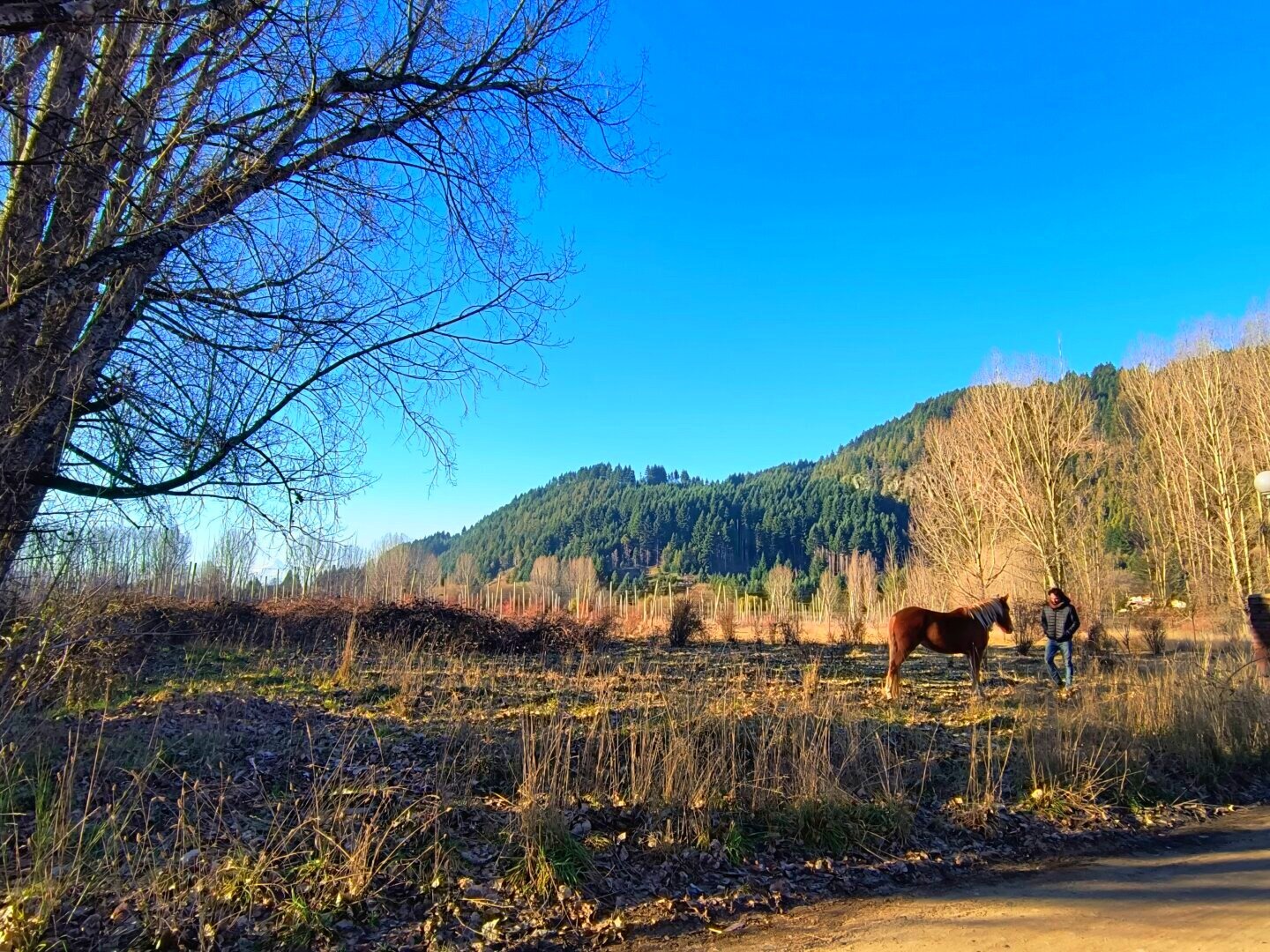 (087) LAGO PUELO, Terrenos 1800 m2, Pje. Entre Ríos - 7