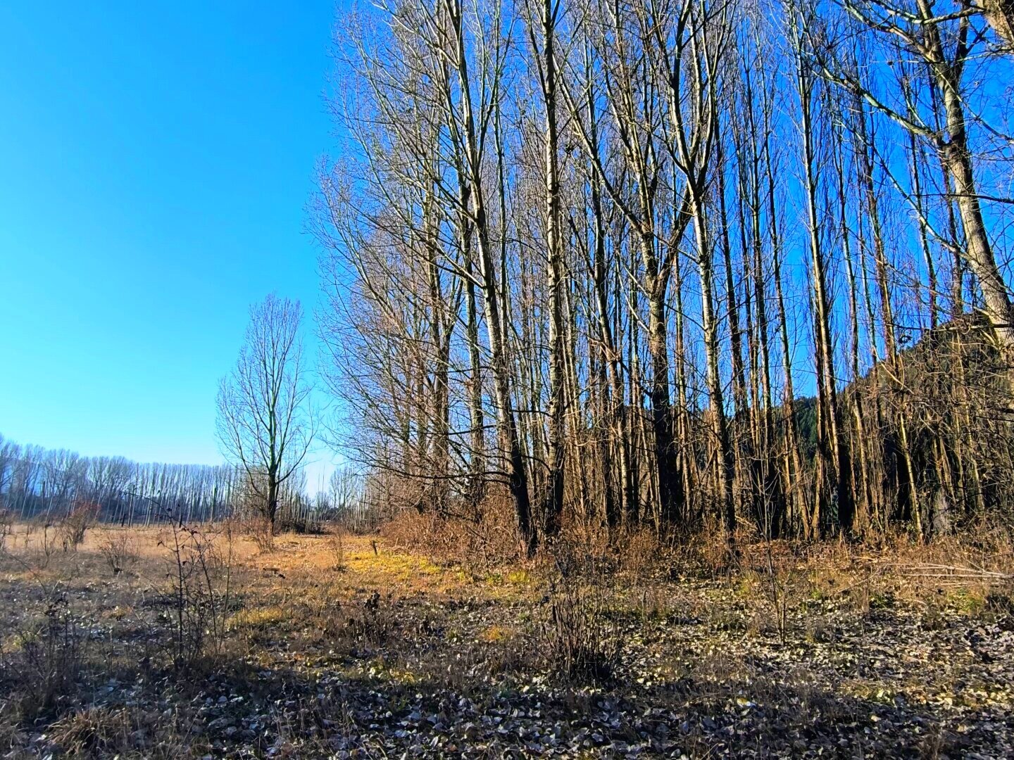 (087) LAGO PUELO, Terrenos 1800 m2, Pje. Entre Ríos - 11